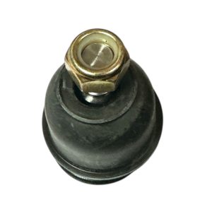 Rótula Korea ROT-0021