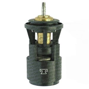 Termostato Mte-Thomson MTE-VT24580