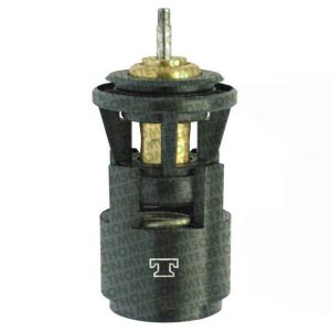 Termostato Mte-Thomson MTE-VT24587
