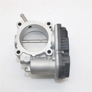 Cuerpo Aceleración Mobis CUE-0020