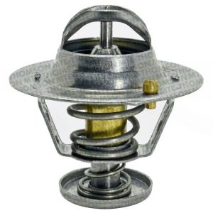 Termostato Mte-Thomson MTE-VT58882
