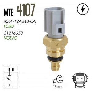 Bulbo Temperatura Mte-Thomson MTE-4107