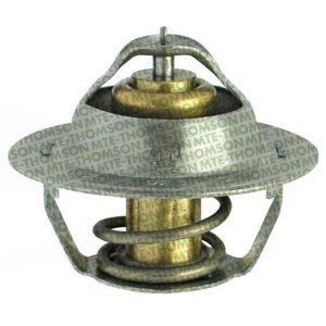 Bulbo Temperatura Mte-Thomson MTE-VT21787